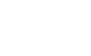 DUDIJ_LOGO white